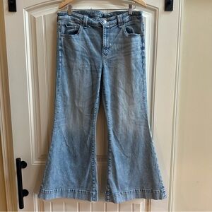 American Eagle AE Festive Flare Denim Jeans Light Wash 16P 16 Short